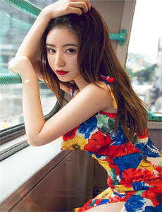 摩根巨龙